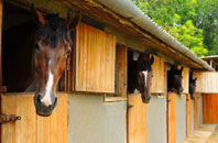 free Blandford Camp stable construction quotes